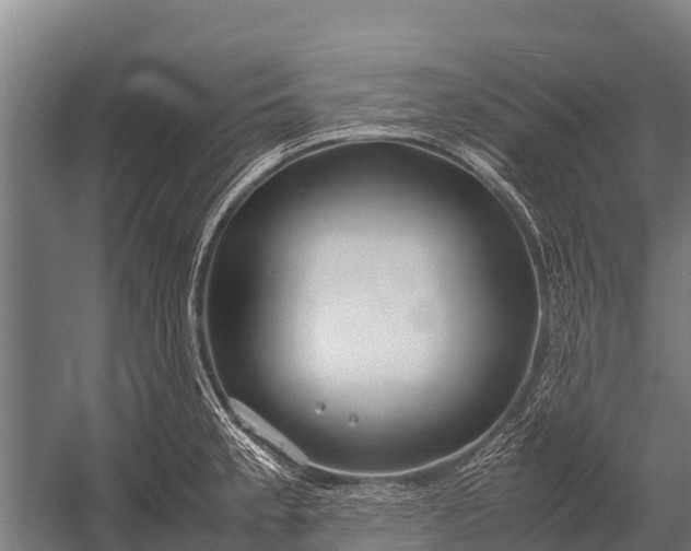 X0000053011189200507221305