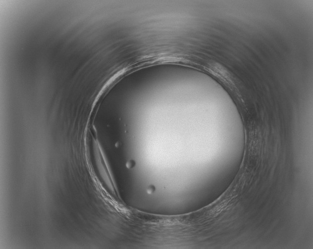 X0000053011190200507221305