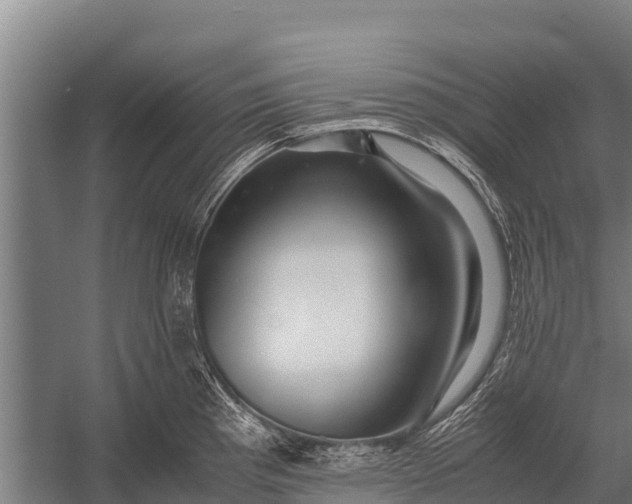 X0000053011193200507221305