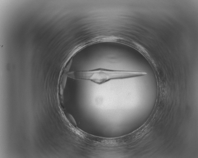 X0000053011194200507221305