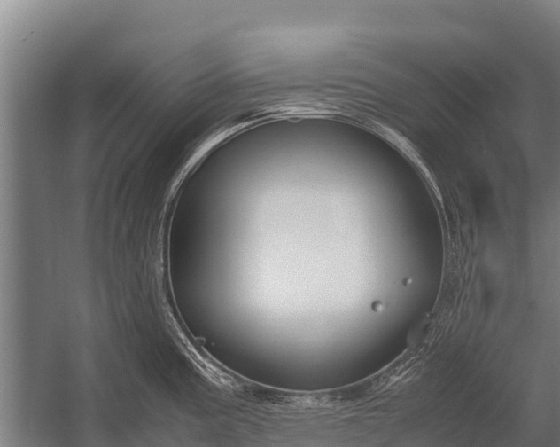 X0000053011195200507221305