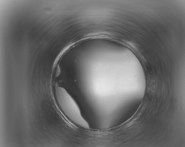 X0000053011196200507221305