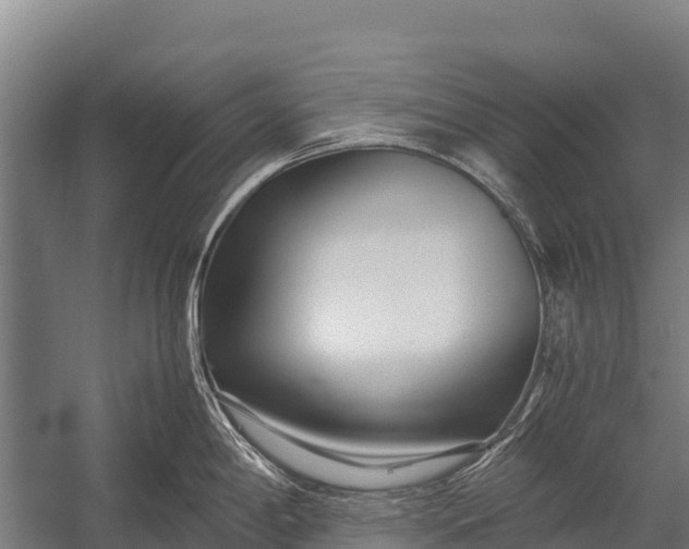 X0000053011198200507221305