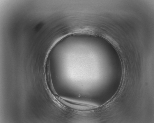 X0000053011200200507221305