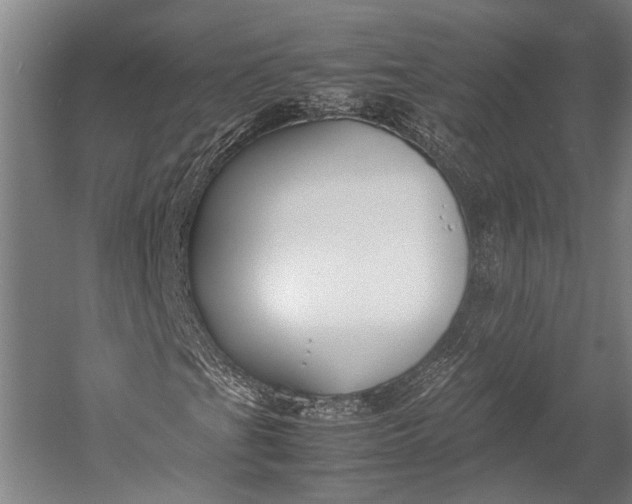 X0000053011201200507221304