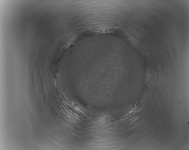 X0000053011202200507221304