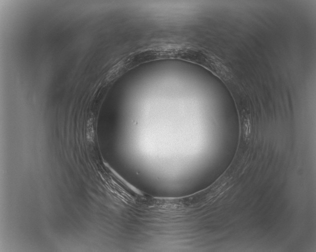 X0000053011204200507221304