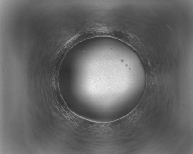 X0000053011205200507221304