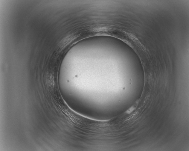 X0000053011209200507221304