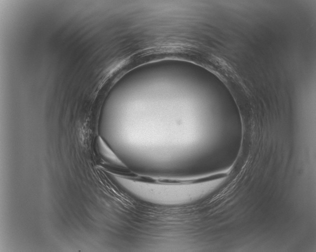 X0000053011210200507221304