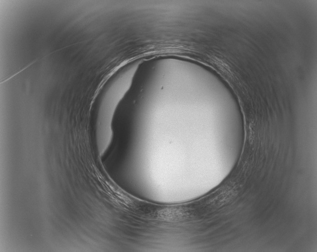 X0000053011212200507221304