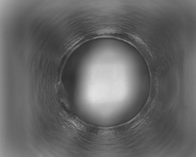 X0000053011217200507221304