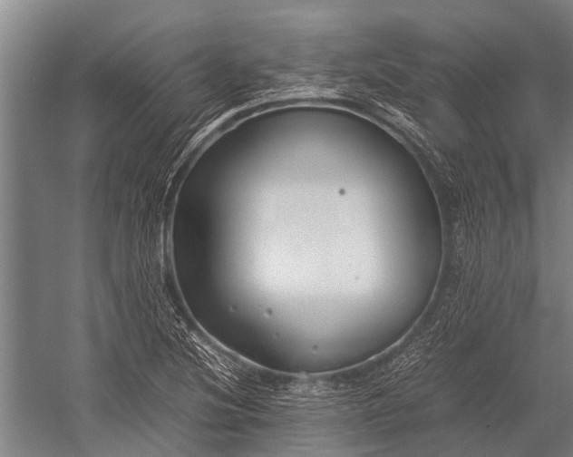 X0000053011220200507221304