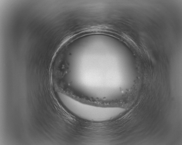 X0000053011224200507221304