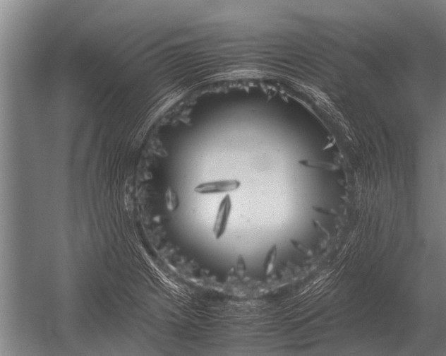 X0000053011225200507221304