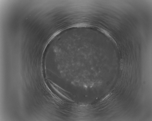 X0000053011229200507221304