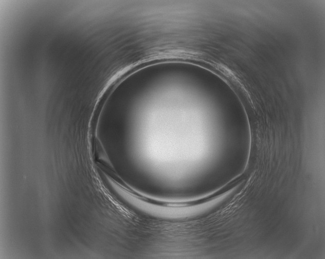 X0000053011230200507221305