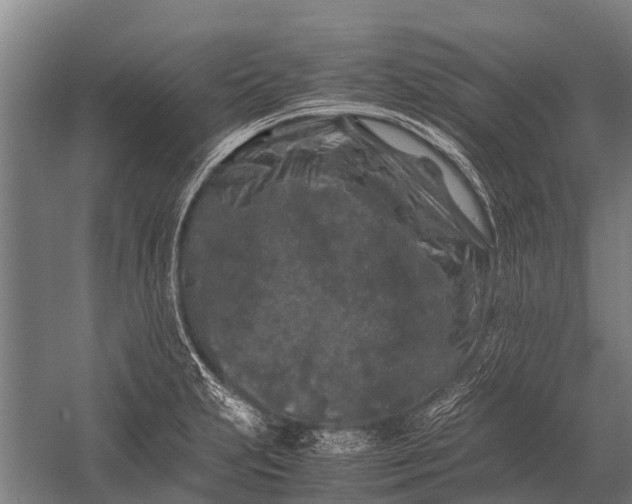 X0000053011231200507221305