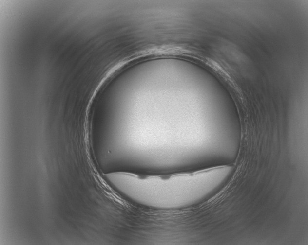 X0000053011232200507221305