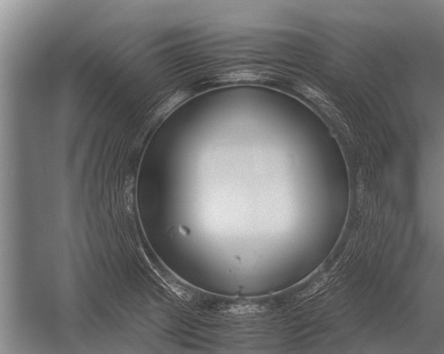 X0000053011233200507221305