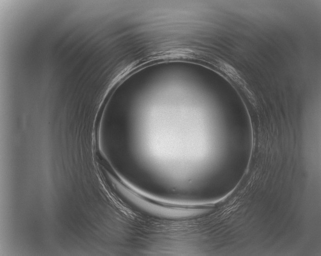 X0000053011234200507221305