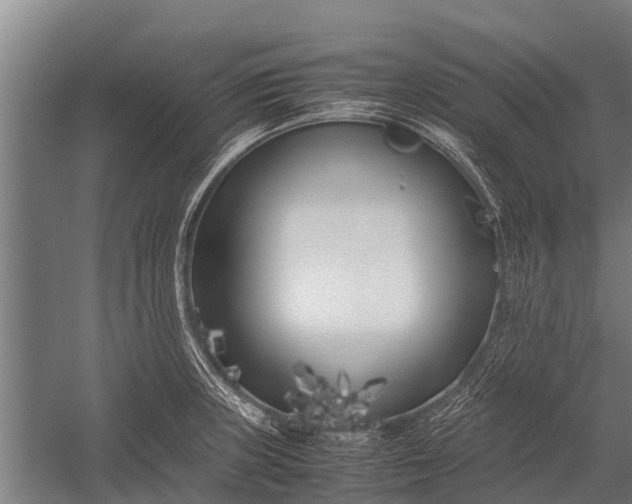 X0000053011235200507221305