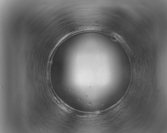 X0000053011236200507221305