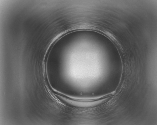 X0000053011238200507221305