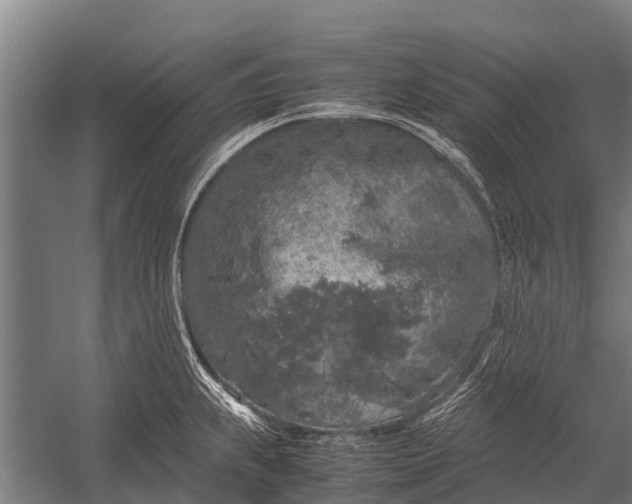 X0000053011239200507221305