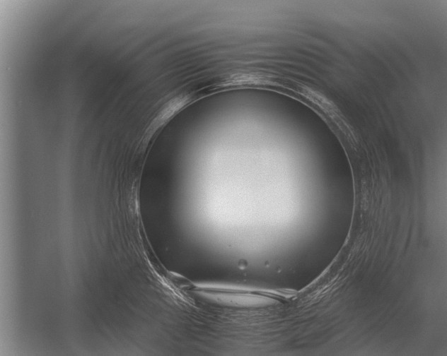 X0000053011241200507221305