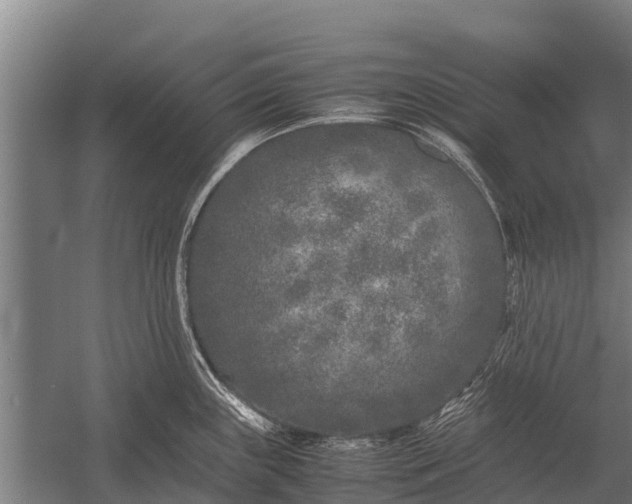 X0000053011243200507221305