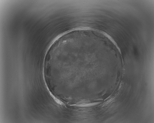 X0000053011245200507221305