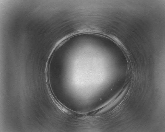 X0000053011246200507221305