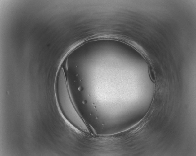 X0000053011247200507221305