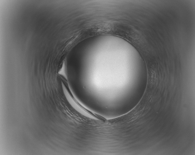 X0000053011250200507221304