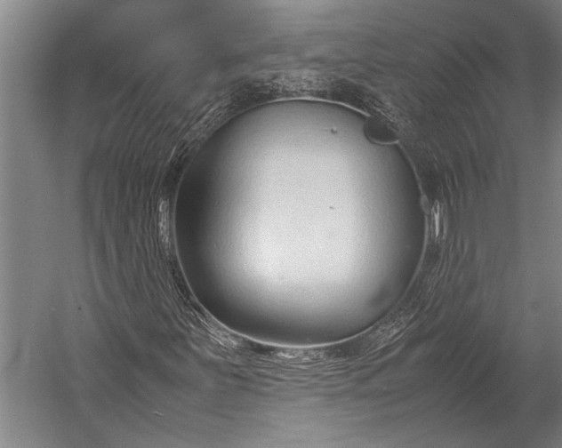 X0000053011251200507221304