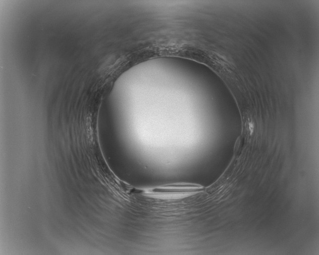 X0000053011252200507221304