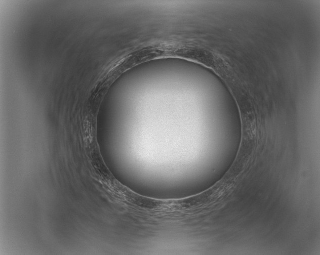 X0000053011253200507221304