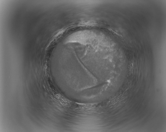 X0000053011254200507221304