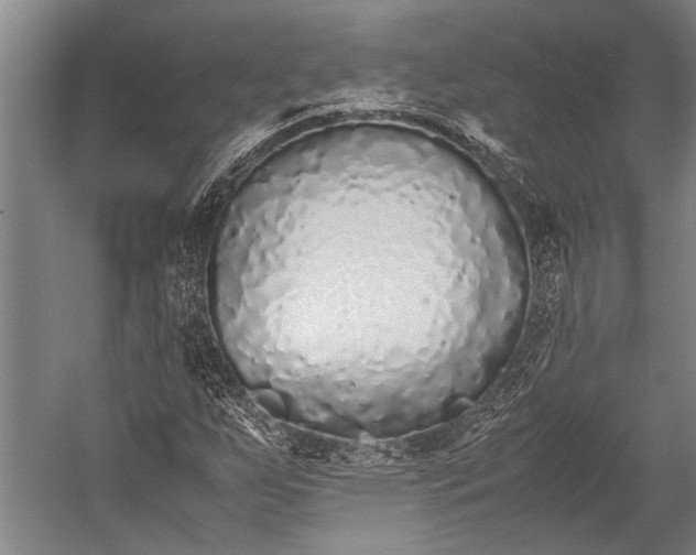 X0000053011255200507221304