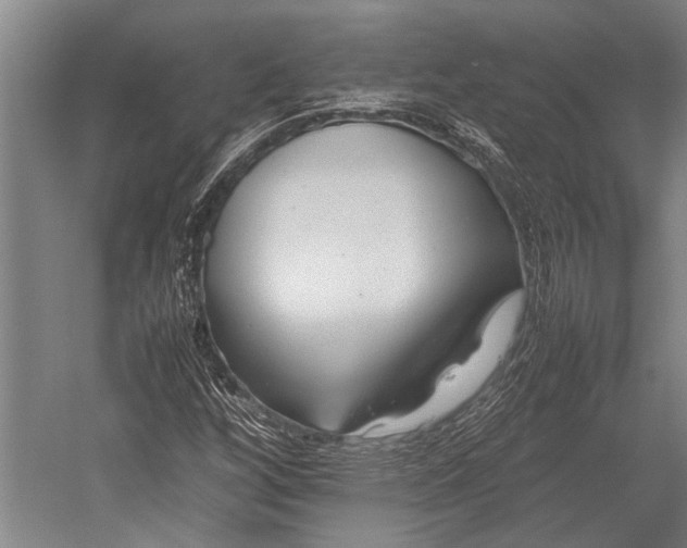 X0000053011256200507221304