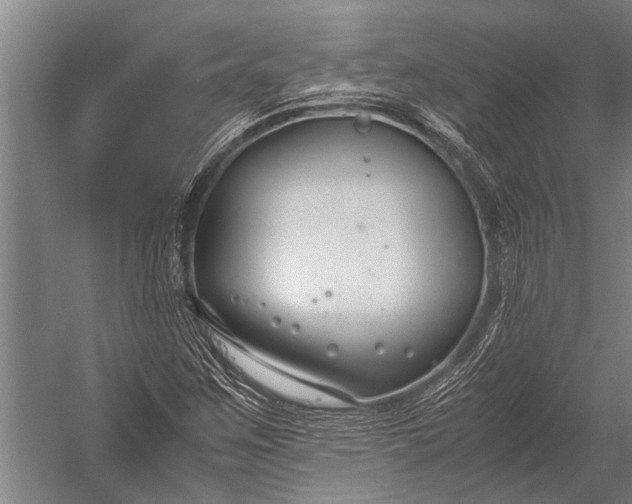 X0000053011259200507221304