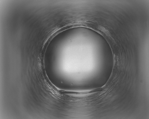 X0000053011260200507221304