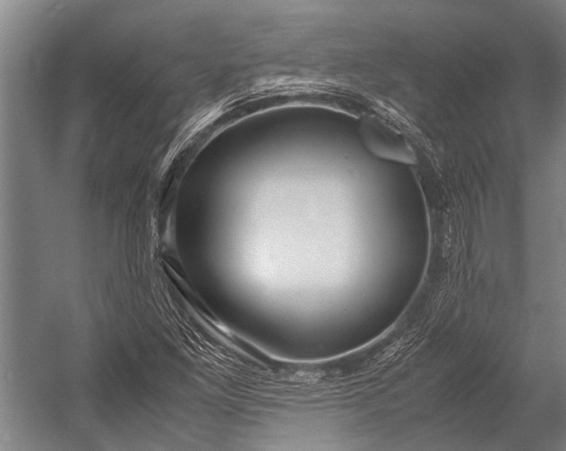 X0000053011261200507221304