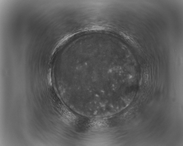 X0000053011262200507221304