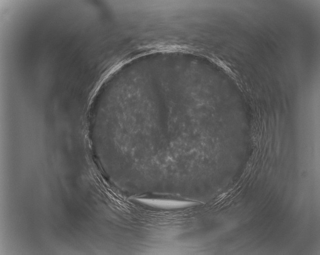 X0000053011263200507221304