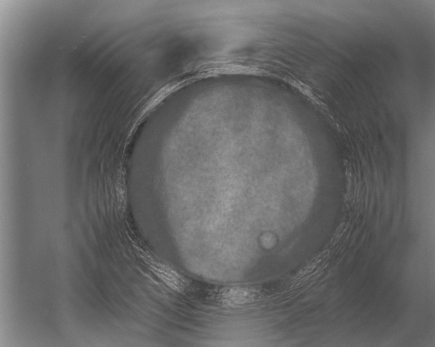 X0000053011266200507221304