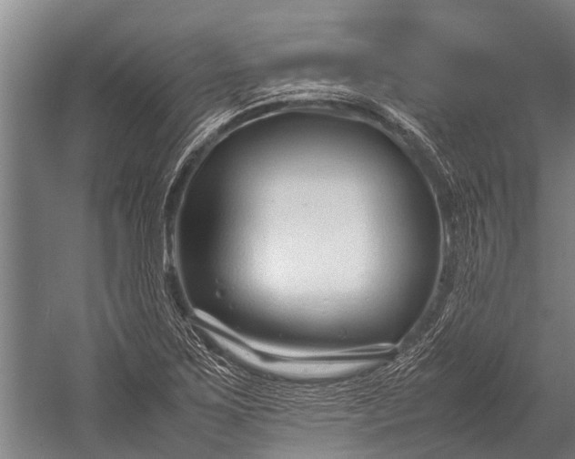 X0000053011267200507221304