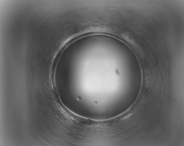 X0000053011272200507221304