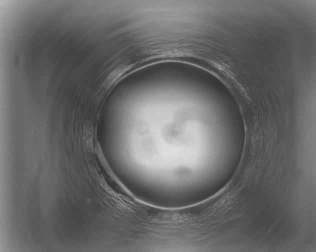 X0000053011273200507221304